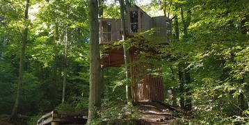 The Tree House in Urban Forest Celje