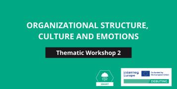 Organizational structure, culture and emotions TEXT