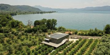 Lemon grove and packing plant near Lake Trichonida