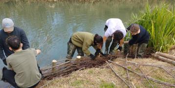 Restoring a river with bioengineering techniques