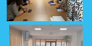 A collage of two meeting photos. The top shows a group seated around a conference table, with three women standing and speaking at the front. The bottom shows a larger group in a U-shaped setup, engaged in discussion with microphones and laptops, and plants in the center. Both settings are professional and well-lit, with EU project materials visible.