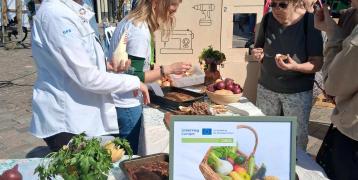 Vejle event