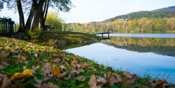 Landscape in Slovenia's Savinja-Šalek region featuring vegetation, a lake and calm skies.