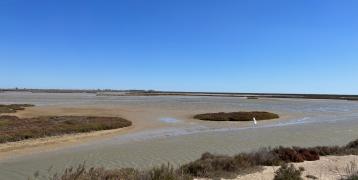 View of coastal area