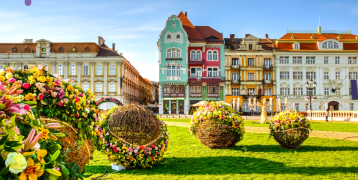 buildings, flowers, park