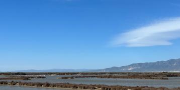Wetland Wetland