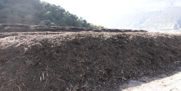 Open windrow Composting 