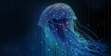 Digital islands jellyfish