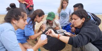 Scientific monitoring of microplastics pollution_Fuerteventura