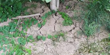 Dry soil due to drought Dry soil due to drought