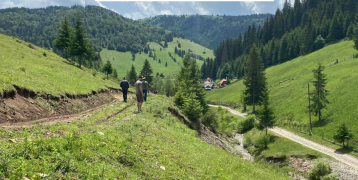 there is a landscape with trees
