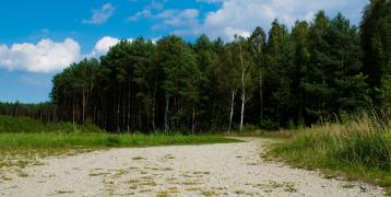A bright, partly cloudy sky over a peaceful forest clearing. Tall pines and slender birch trees line the horizon, while a sandy path curves gently through sunlit grass toward the trees.