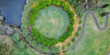 trees; green; water; circularity; nature; environment
