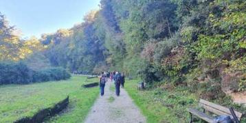 View of a walking path in the nature