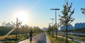 urban cycling path. Style: sunlight and clear sky and there is a cyclist