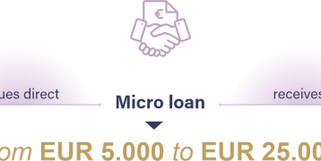 Micro loans and loans are taken out by companies directly at SEF