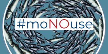 Fish shoal which is the image of the initiative #moNOuse