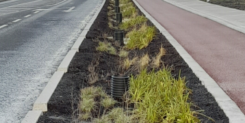 A narrow green strip with planted vegetation between a road and a pedestrian path in Tipperary, designed to manage stormwater using nature-based solutions.