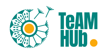 TeAM HUb logo