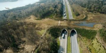 ecoduct