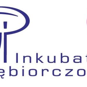 Profile picture for user a.karas@inkubatorsl.pl