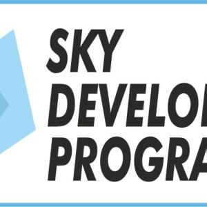 Profile picture for user info@skydeveloperprogrammer.com