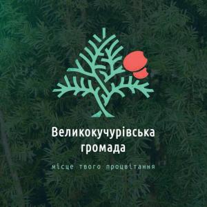Profile picture for user v.kuchuriv.stg@gmail.com